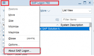 What Is SAP GUI ? How Does SAP GUI Work ? Complete Guide To SAP GUI