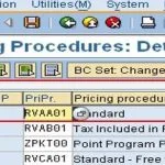 How does SAP SD determine pricing procedures