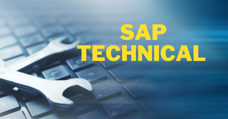SAP technical