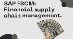 SAP FSCM : A Deep Dive Into SAP FSCM Management - Saptutorials.in
