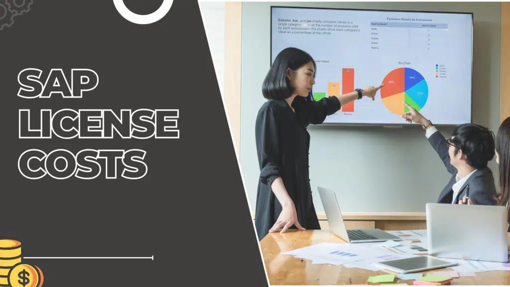 SAP License Costs