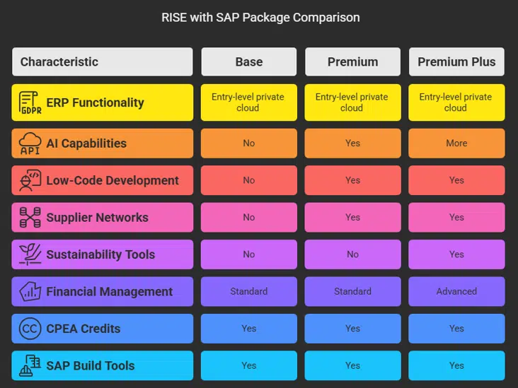 RISE with SAP